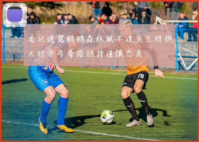 名记透露鹈鹕森林狼不追莫兰特热火对字母哥搭档持谨慎态度