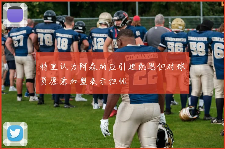 特里认为阿森纳应引进凯恩但对球员愿意加盟表示担忧